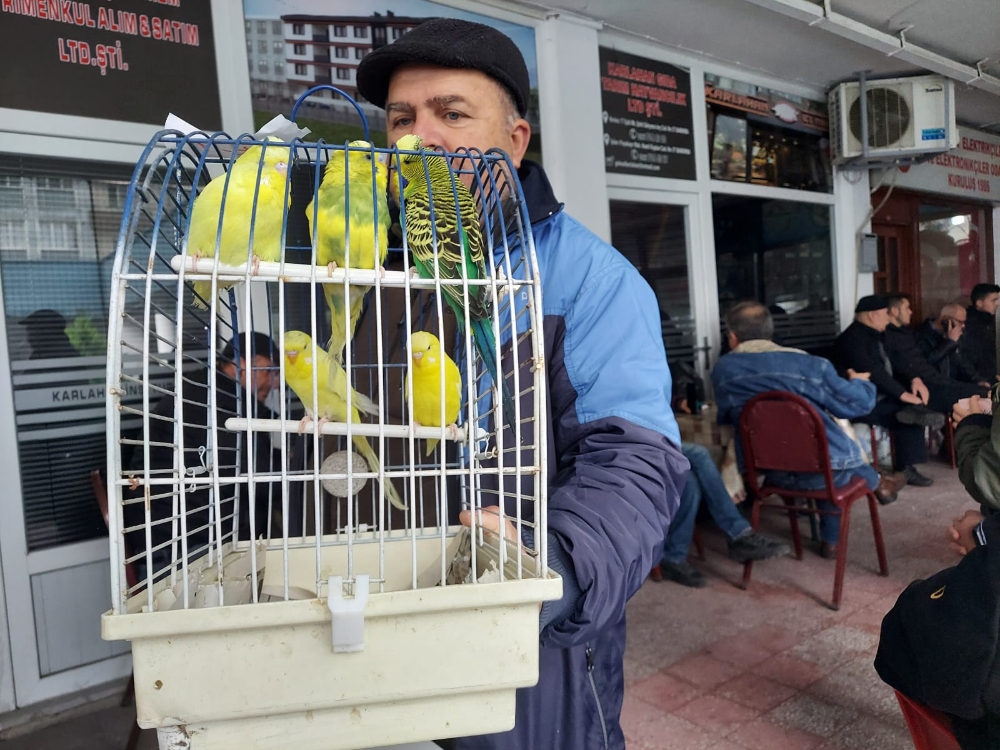 Bandırma'da 60 Yıllık Gelenek ''Kuş Mezatı''